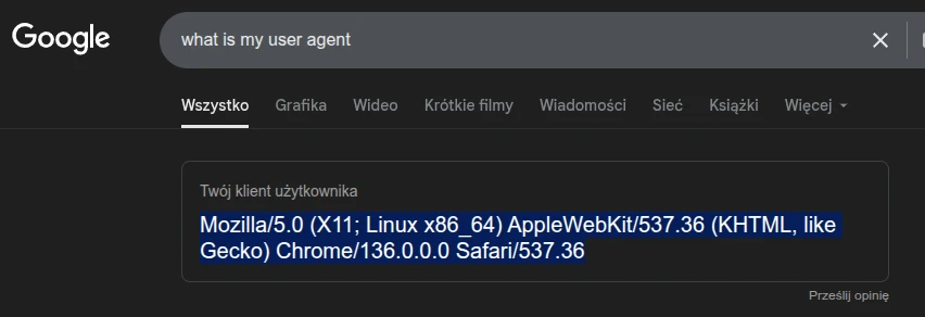 Zrzut ekranu przedstawiający zapytanie w Google o &quot;klient użytkownika&quot;