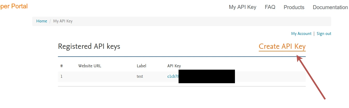 Zrzut ekranu ze strzałką wskazującą na przycisk Create API Key